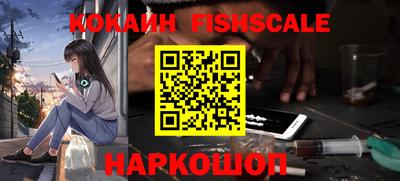гидра Новозыбков