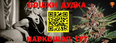 гидра Новозыбков
