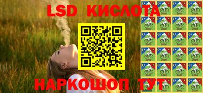 гидра Новозыбков