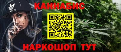spice Новодвинск