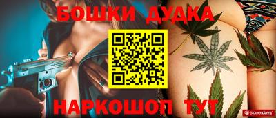 гидра Новозыбков