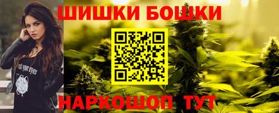 spice Новодвинск