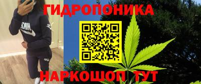 spice Новодвинск