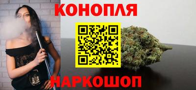 гидра Новозыбков