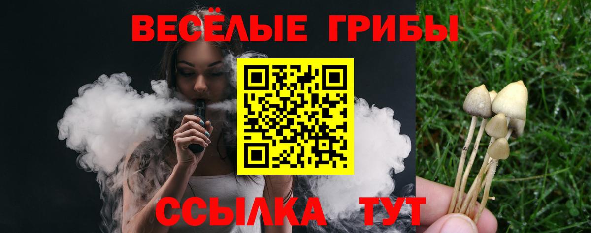 Стрежевой  Галлюциногенные грибы Psilocybe  Вход с VPN 